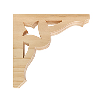Bracket FBW